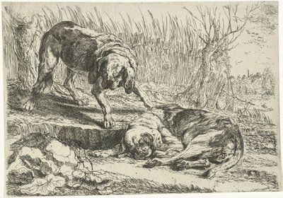 Dos perros
Perros (título de la serie) de Joannes Fijt