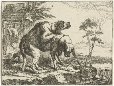 Dos perros de apareamiento Perros (título de la serie) de Joannes Fijt