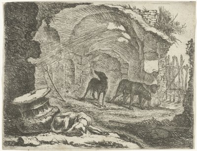 Cuatro perros en una ruina Perros (título de la serie) de Joannes Fijt