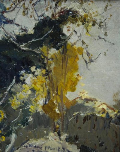 Árbol de Joaquim Mir i Trinxet