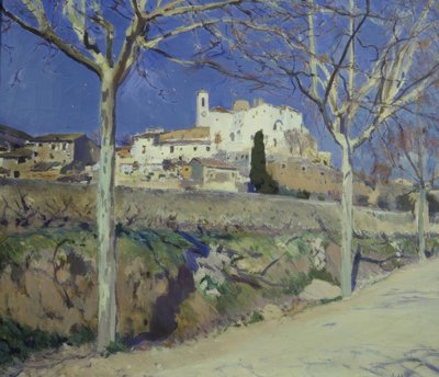 Caselles de Joaquim Mir i Trinxet
