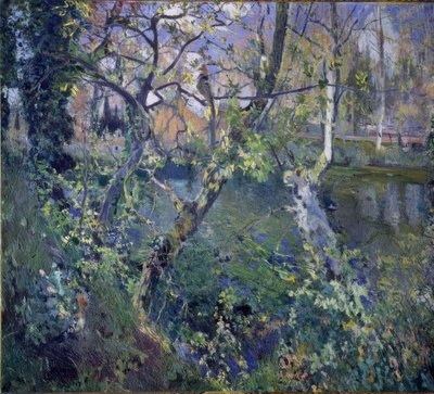 La lluvia de Moguda de Joaquim Mir i Trinxet