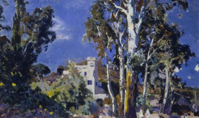 El Mas Blau, Les Borges del Camp de Joaquim Mir i Trinxet