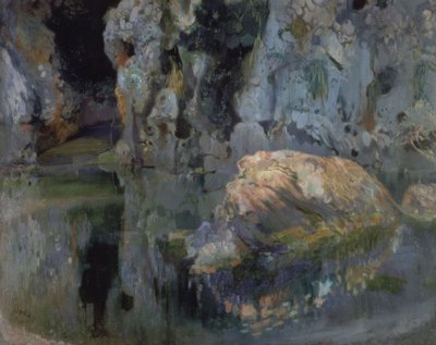 El roc del estanque de Joaquim Mir i Trinxet