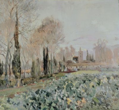 Paisaje de Joaquim Mir i Trinxet