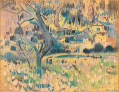 Maspujols de Joaquim Mir i Trinxet