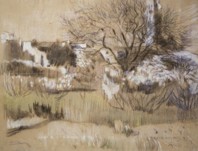 Maspujols de Joaquim Mir i Trinxet