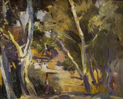 Miravet de Joaquim Mir i Trinxet
