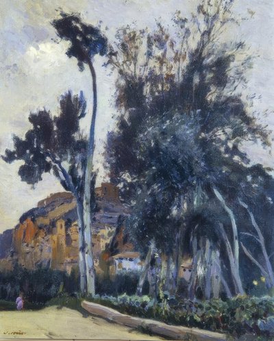 Miravet de Joaquim Mir i Trinxet
