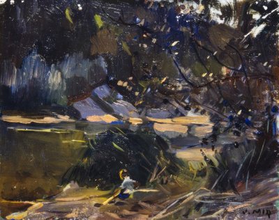 Maleza de Joaquim Mir i Trinxet