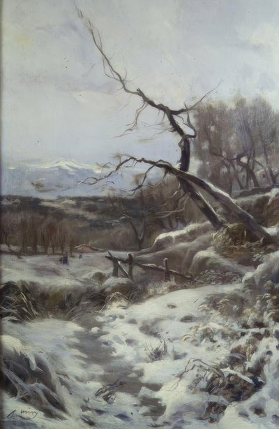 Invierno de Joaquim Mir i Trinxet