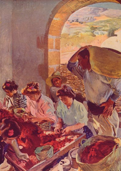 La preparación de uvas secas, 1890 de Joaquín Sorolla