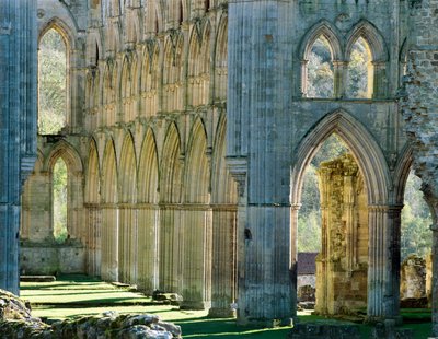 Abadía de Rievaulx, c. 1990-2010 de Joe Cornish
