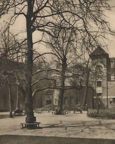 Bajo los olmos en el patio del Hospital Middlesex, c. 1935 de Joel