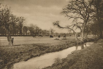 Donde el arroyo Beverley serpentea a través del Parque de Caza Real de Richmond, c1935 de Joel
