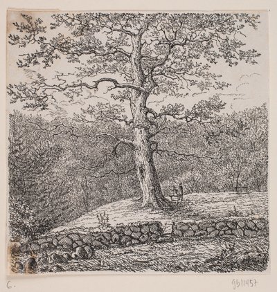 El roble de Niels Ebbesen en Nørreris de Johan Aagaard