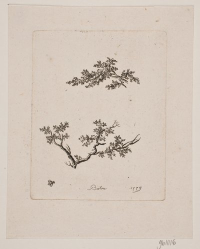 Dos ramas de árbol de Johan Bülow