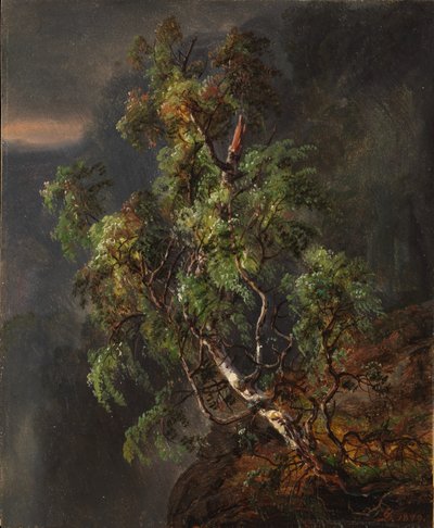Abedul en tormenta de Johan Christian Dahl