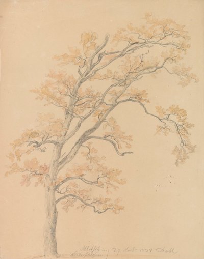 Robles con hojas de otoño, Milicz de Johan Christian Dahl