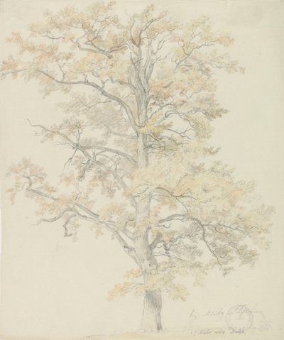 Robles con hojas de otoño, Milicz de Johan Christian Dahl