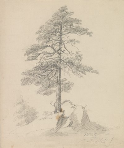 Pinos y acantilados de Johan Christian Dahl