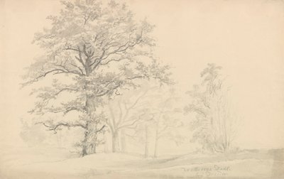  de Johan Christian Dahl