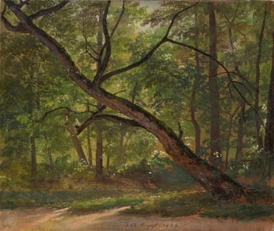 Lote en el Gran Jardín cerca de Dresde de Johan Christian Dahl