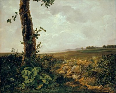 Ver cerca de Prestø de Johan Christian Dahl