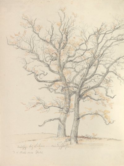 Dos robles de Johan Christian Dahl