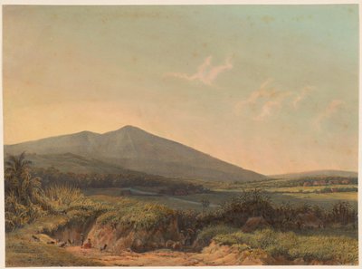 Vista de Kedungbadak Vista de la tierra de Kedong Badak y la carretera a Buitenzorg (título sobre objeto) de Johan Conrad Greive