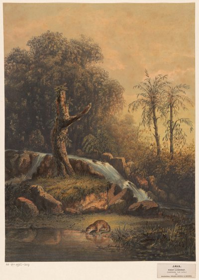 Paisaje con cascada y leopardo bebiendo Paisaje salvaje (esquina este de Java) (título del objeto) de Johan Conrad Greive