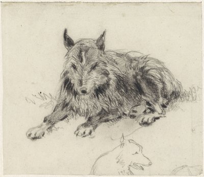 Perro pastor reclinado de Johan Daniël Koelman