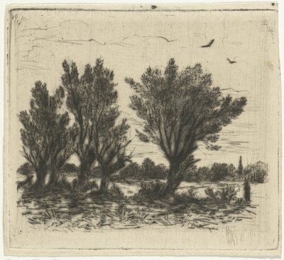 Fila de sauces de Johan Frederik Croockewit