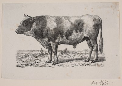 Un toro de Johan Frederik Rosenstand