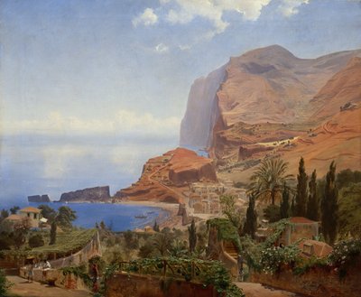 Desde Madeira de Johan Fredrik Eckersberg