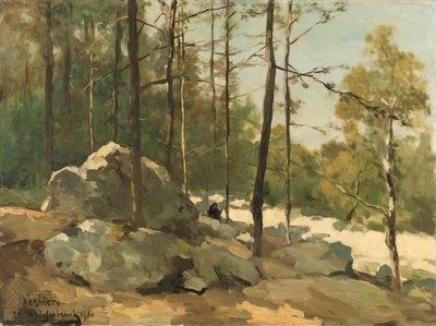 Vista boscosa cerca de Barbizon
Vista boscosa cerca de Barbizon de Johan Hendrik Weissenbruch