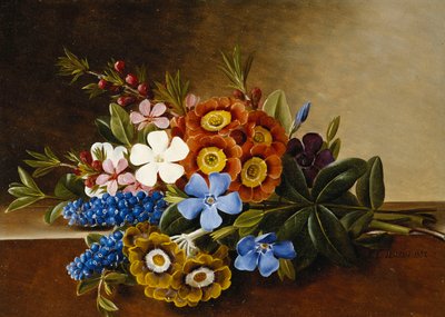 Pervinca, Aurícula y Jacintos de Uva en un Ledge de Mármol, 1882 de Johan Laurents Jensen