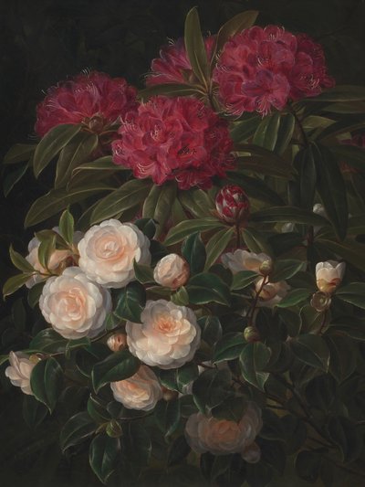 Camelias y rododendros, de Johan Laurentz Jensen de Johan Laurentz Jensen