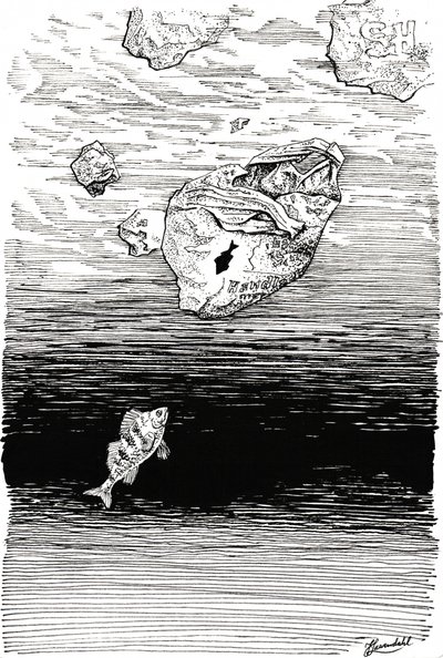 Peces bajo el plástico de Johan Liewendahl
