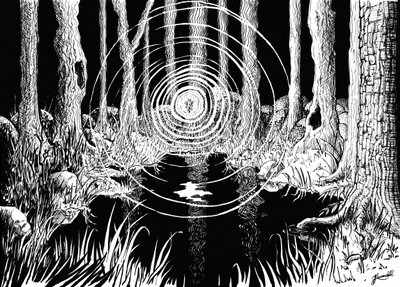 Ondas del bosque místico de Johan Liewendahl