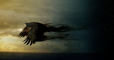 Bird Kingdom 2, 2018 (arte fotográfico) de Johan Lilja
