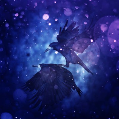 Bird Kingdom 3, 2018 (arte fotográfico digital) de Johan Lilja