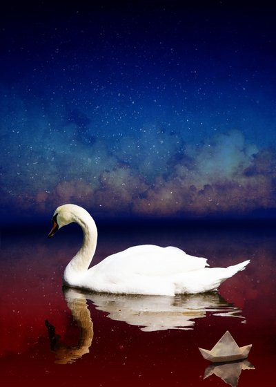 Bird Kingdom 4, 2018 (arte fotográfico digital) de Johan Lilja