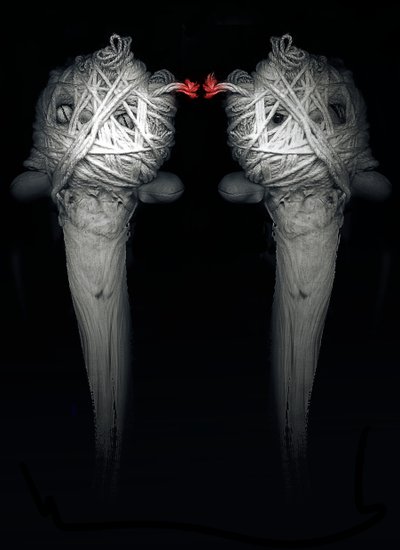 Hermanos, 2013 (fotografía) de Johan Lilja