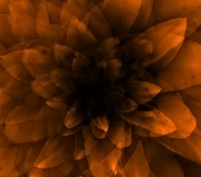 Flor naranja, 2016 (impresión de arte digital) de Johan Lilja
