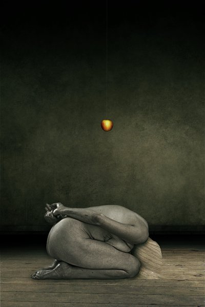 Hide my self, 2013 (manipulación de fotos) de Johan Lilja
