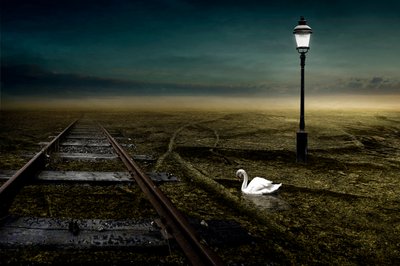 Ferrocarril, 2013 (fotografía) de Johan Lilja