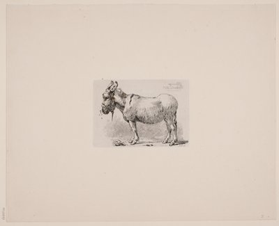 Danés: Un burro plagado de moscas de Johan Lundbye