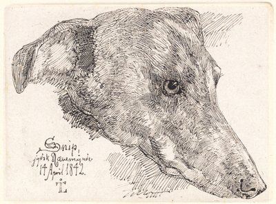 Danés: Hundehoved, Snip de Johan Lundbye