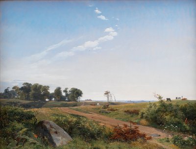 Paisaje de Zelanda. Campo abierto en el norte de Zelanda de Johan Lundbye
